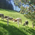 Hartlgut