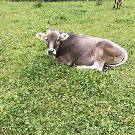 Gospodarstwo agroturystyczne Hartlgut