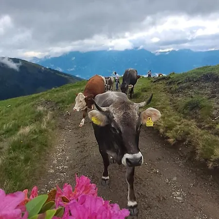 Feriegård Hartlgut *