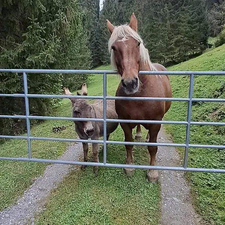 Hartlgut Gospodarstwo agroturystyczne *