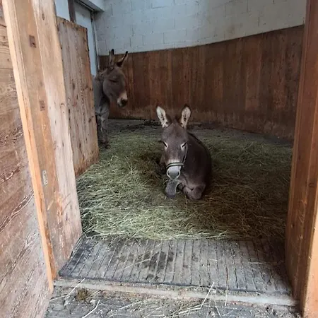 Feriegård Hartlgut *