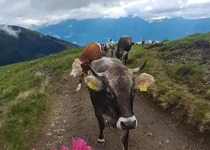 农家乐 Hartlgut *