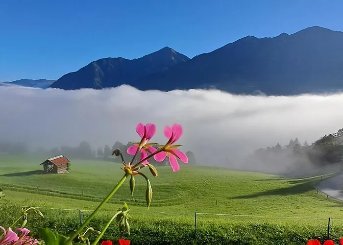 农家乐 Hartlgut *