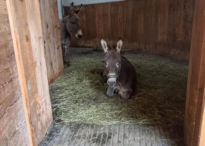 农家乐 Hartlgut *